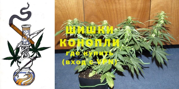 ПСИЛОЦИБИНОВЫЕ ГРИБЫ Беломорск