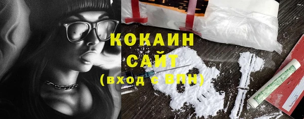 эйфоретик Белокуриха
