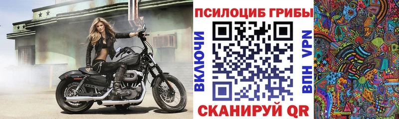 Галлюциногенные грибы Psilocybe  гидра ТОР  Котовск 